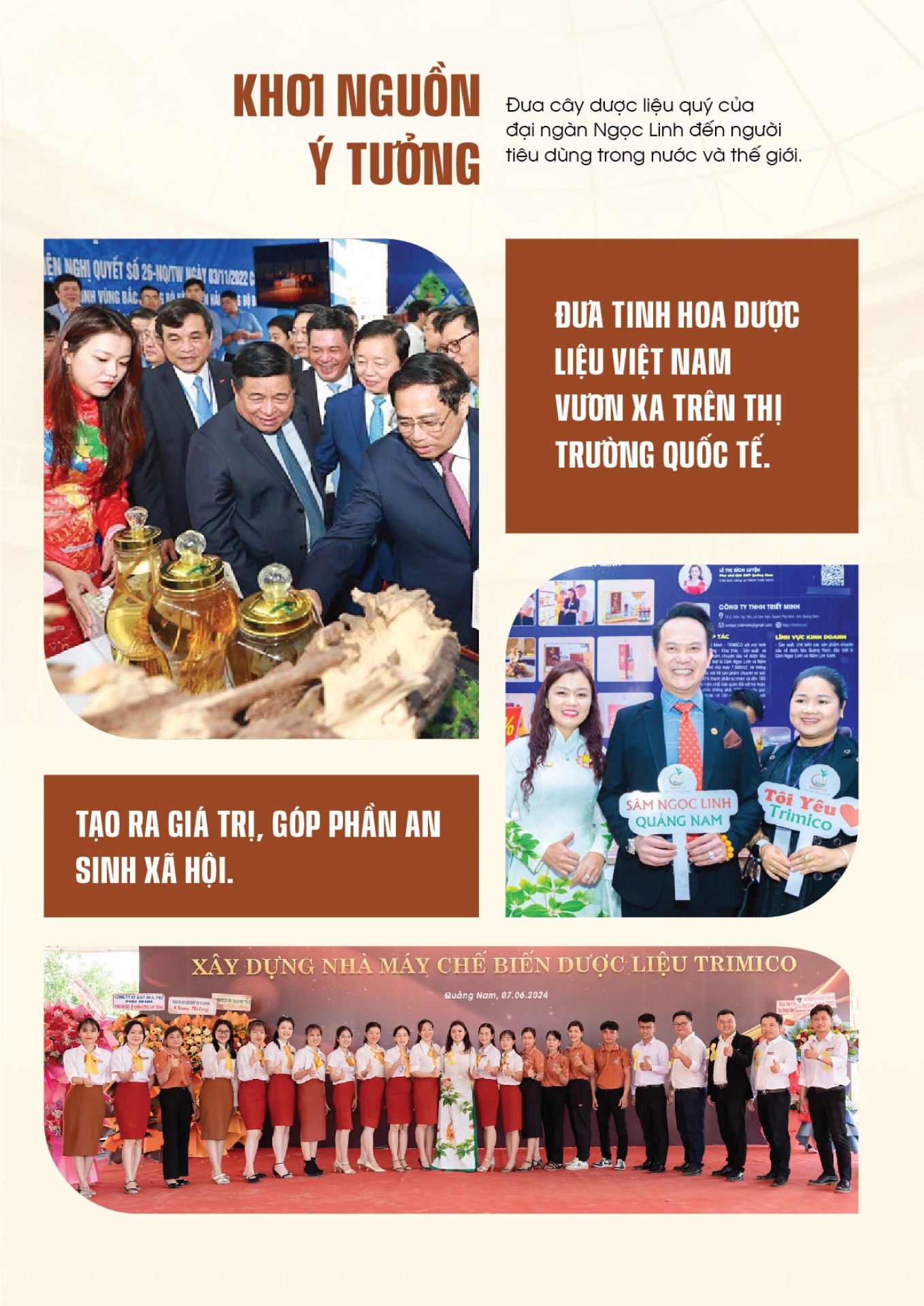 trimico, sâm ngọc linh, nấm lim xanh