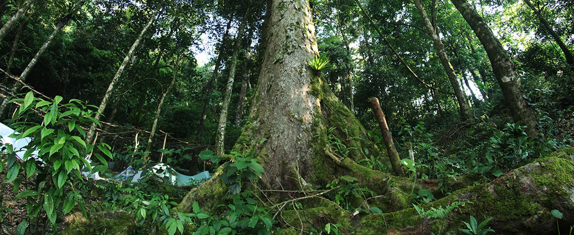 TRIMICO - Cho cuộc sống khỏe đẹp