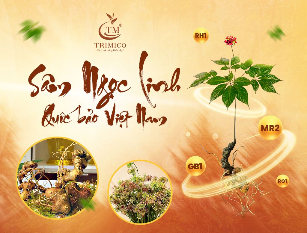 Triết Lý Kinh Doanh