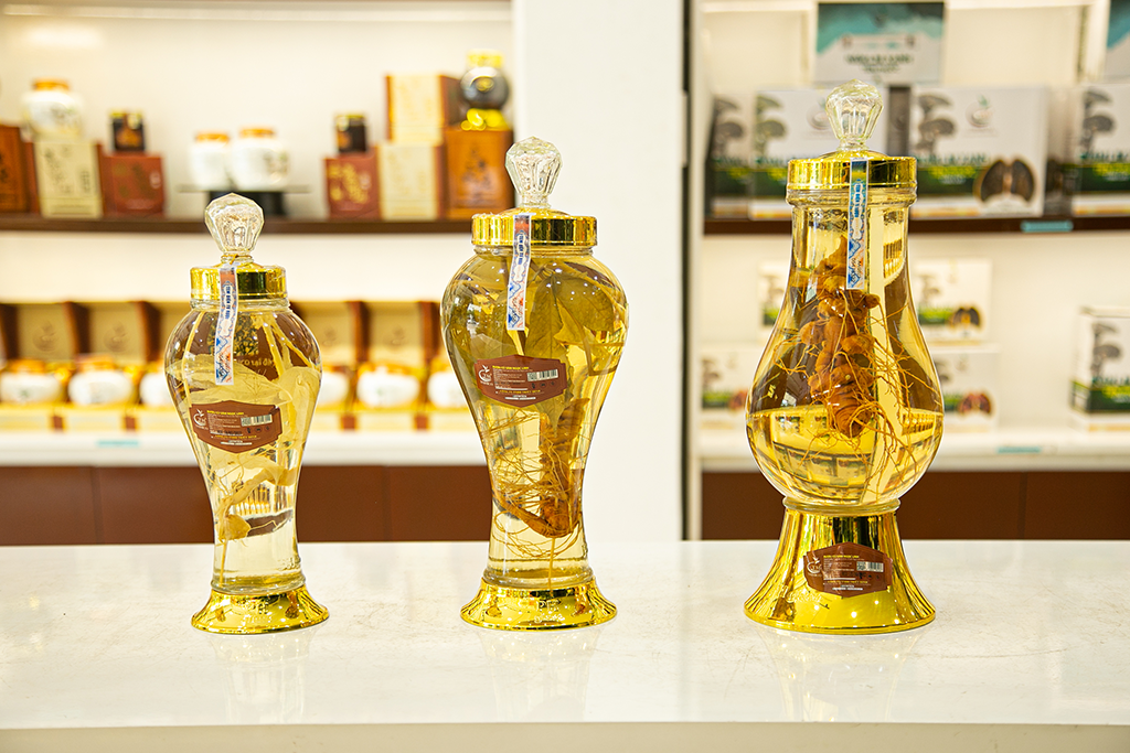 cách ngâm rượu sâm ngoc linh