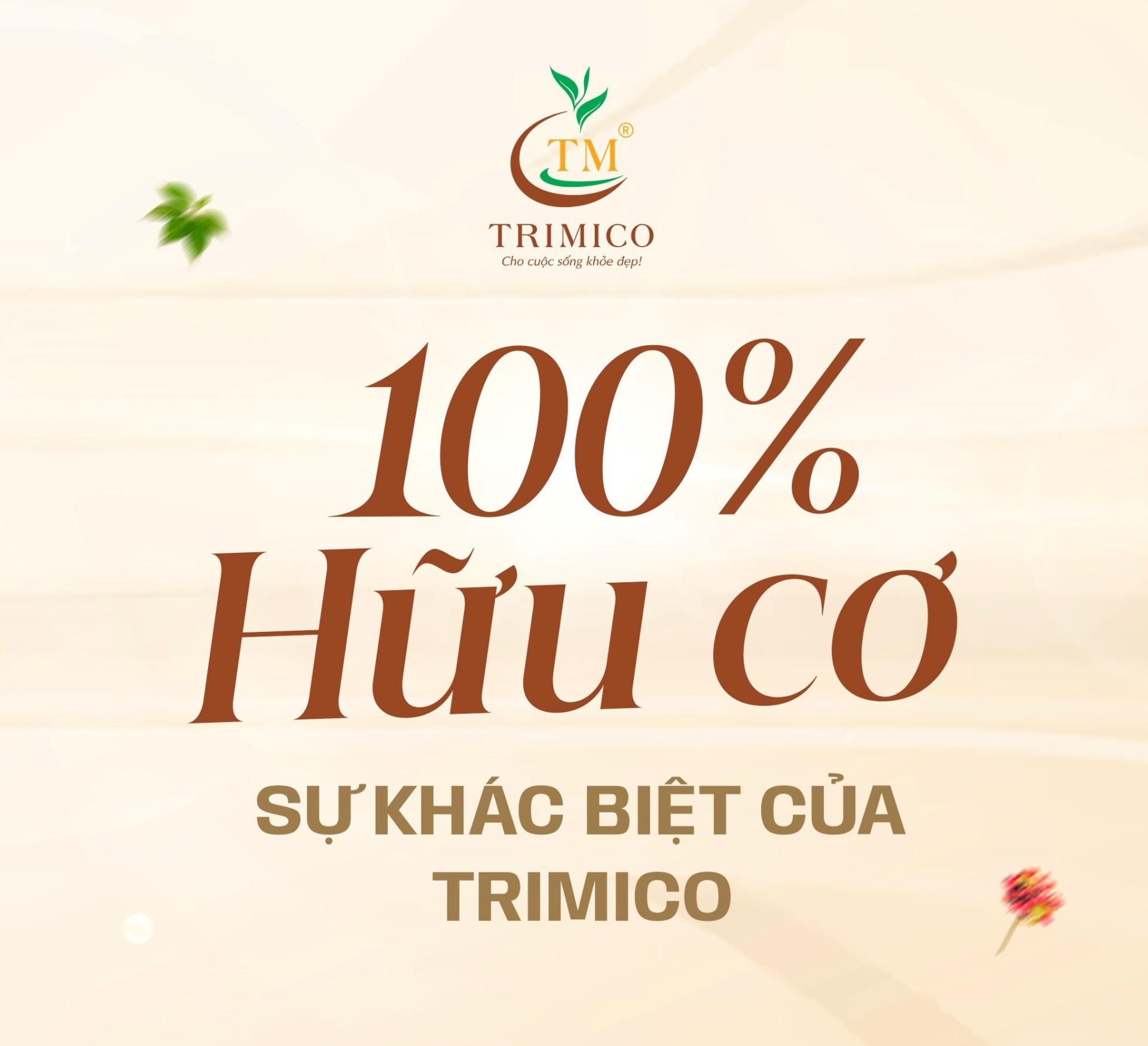 sâm ngọc linh TRIMICO