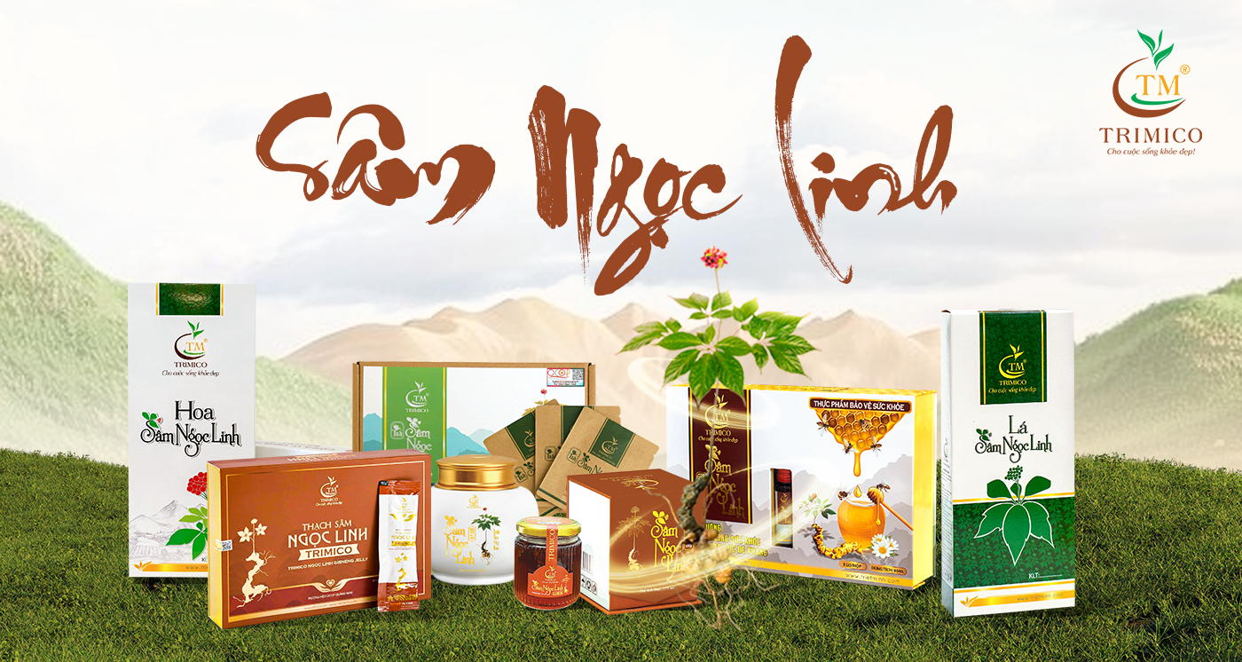 Công ty sâm Ngọc Linh uy tín trimico