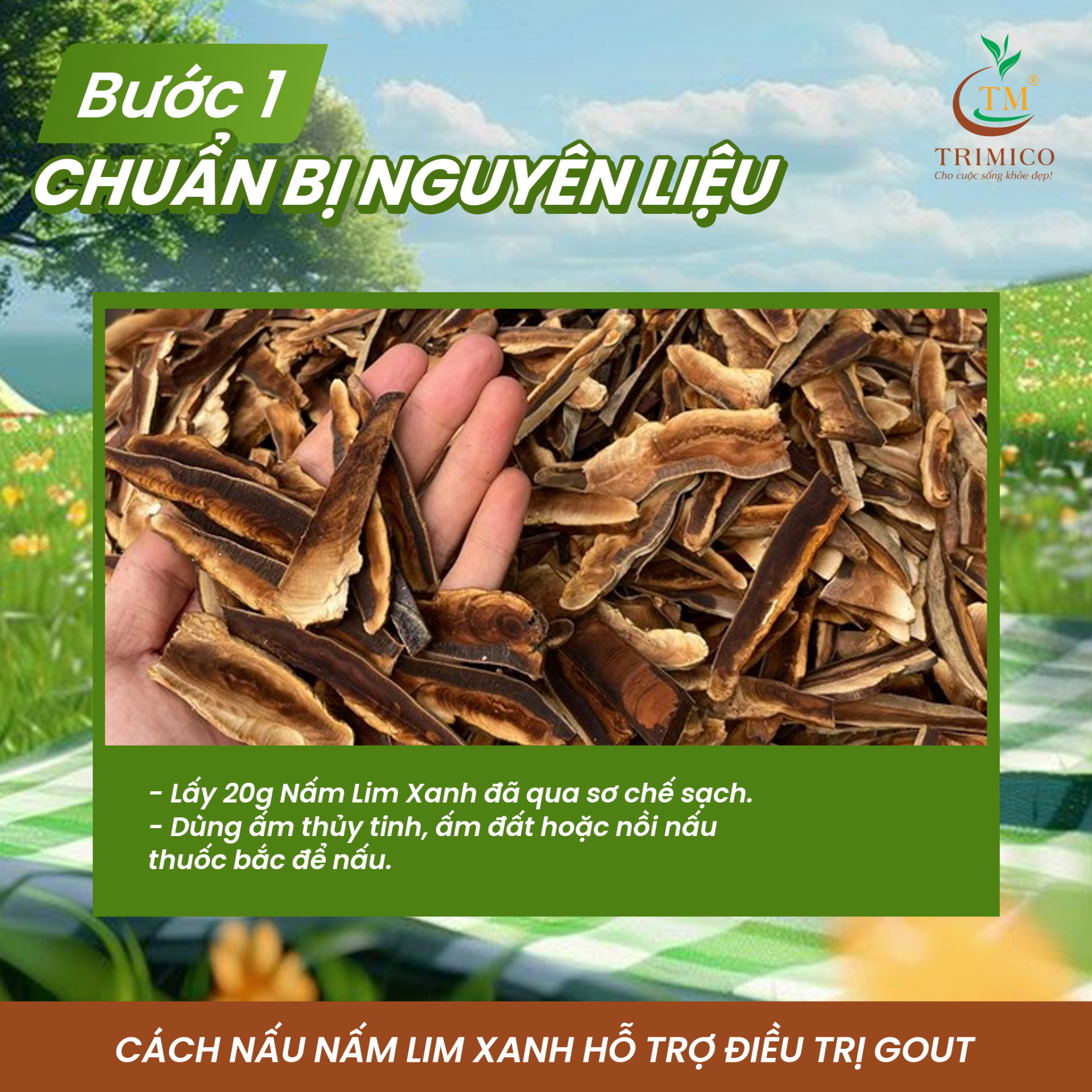  cách nấu nấm Lim Xanh - NẤM LIM XANH TRIMICO