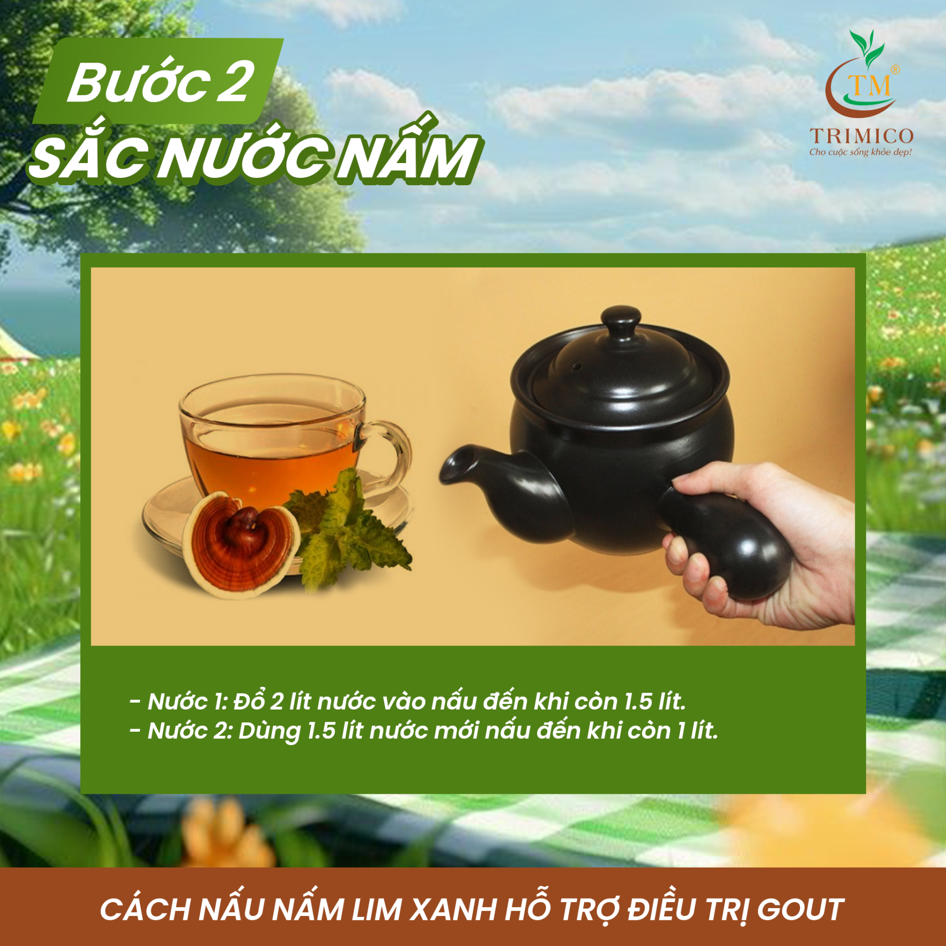  cách nấu nấm Lim Xanh - NẤM LIM XANH TRIMICO