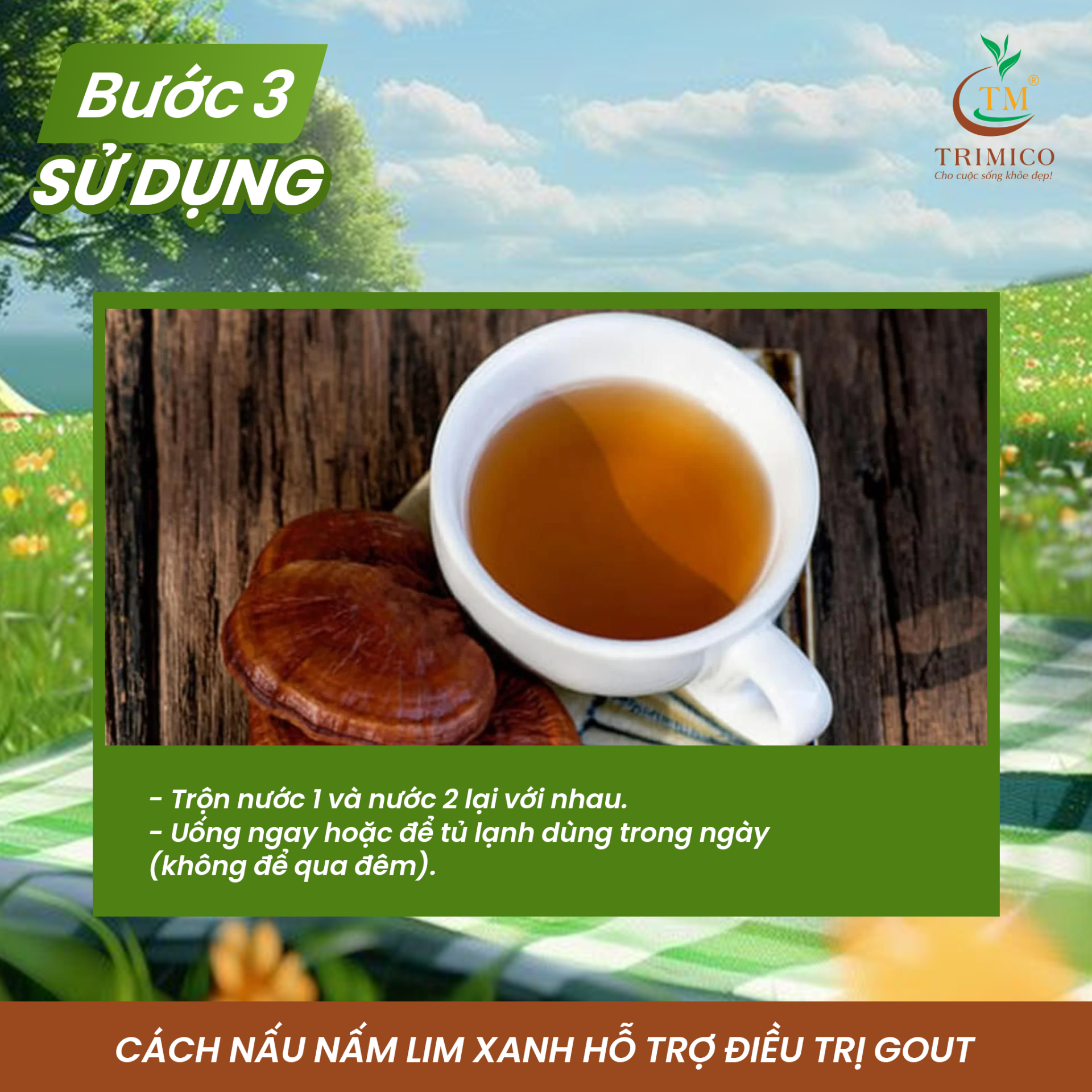 cách nấu nấm Lim Xanh - NẤM LIM XANH TRIMICO