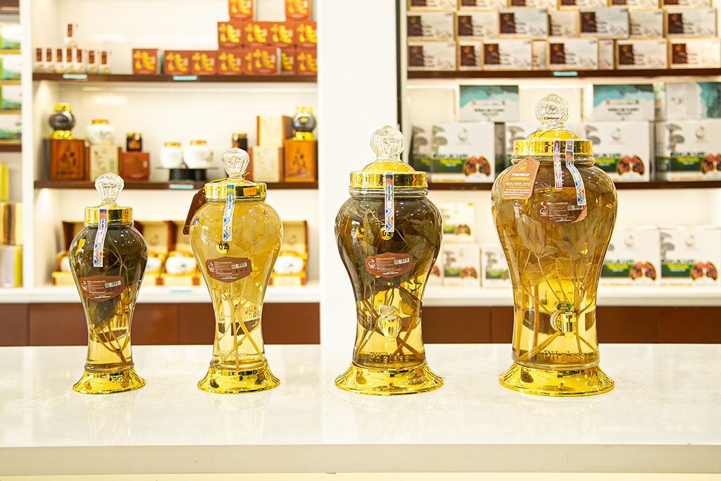 Hướng dẫn chi tiết cách ngâm rượu lá sâm Ngọc Linh tươi đúng chuẩn