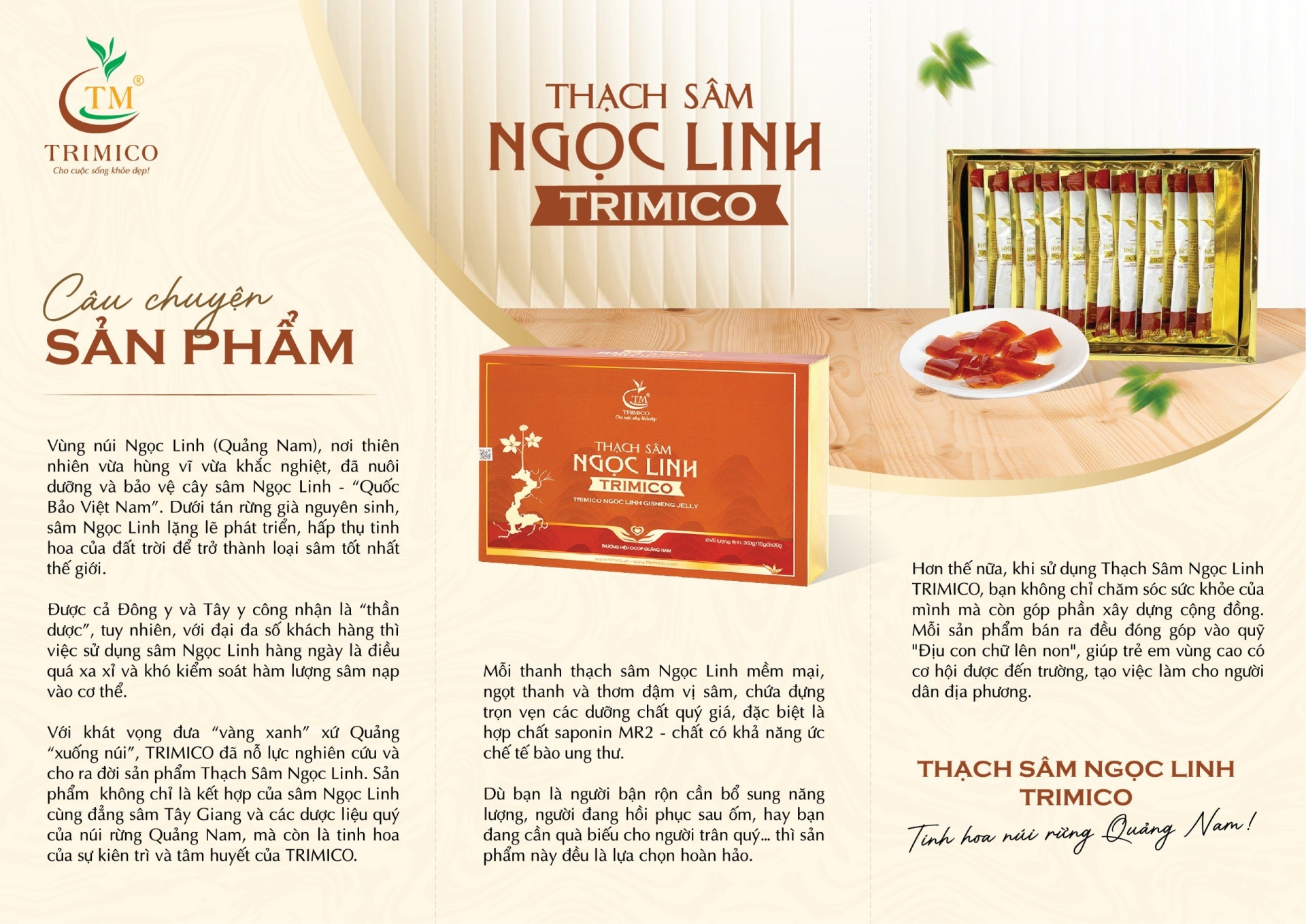 Câu chuyện thạch sâm Ngọc Linh