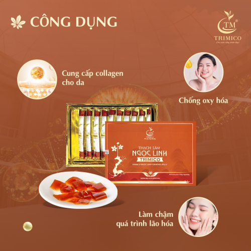 Câu Chuyện Sản Phẩm Thạch Sâm Ngọc Linh