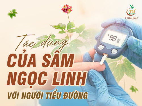 TÁC DỤNG CỦA SÂM NGỌC LINH VỚI NGƯỜI TIỂU ĐƯỜNG
