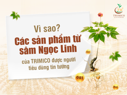 VÌ SAO CÁC SẢN PHẨM TỪ SÂM NGỌC LINH CỦA TRIMICO ĐƯỢC NGƯỜI TIÊU DÙNG TIN TƯỞNG