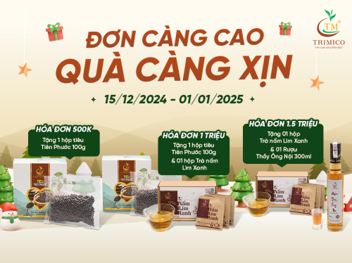 Khuyến Mãi Cuối Năm: ĐƠN CÀNG LỚN - QUÀ CÀNG XỊN